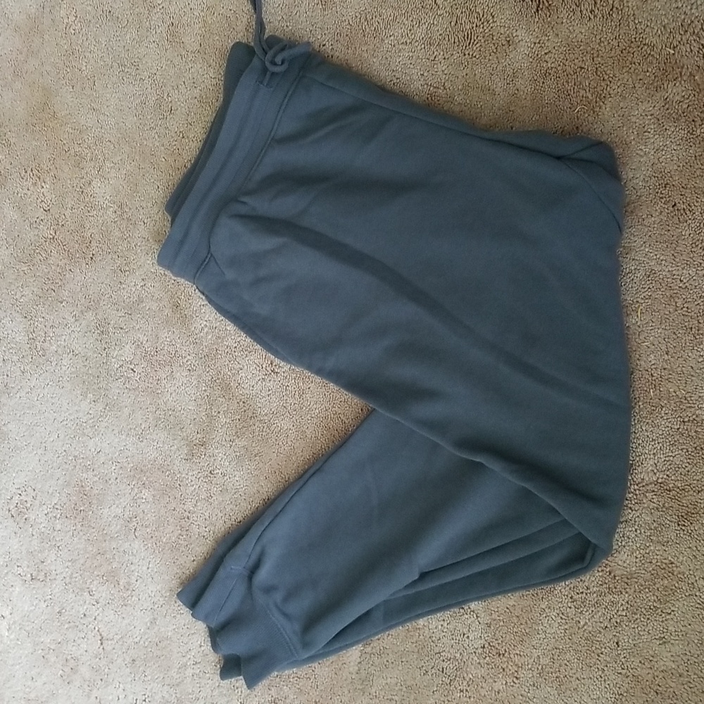 Womens wild fable sweats